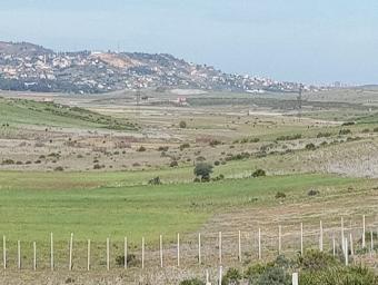 أراضي   1035 م² - Photo 0