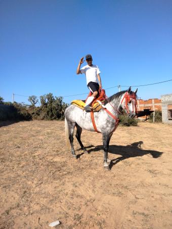 Land   100 m² - Photo 0