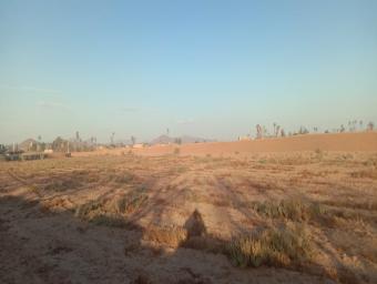 Land   16000 m² - Photo 0