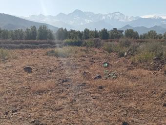 Terrain   10647 m² - Photo 0