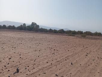 Terrain   21967 m² - Photo 0