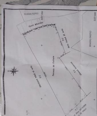 أراضي   50000 م² - Photo 0