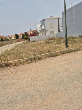 Land   303 m² - Photo 0