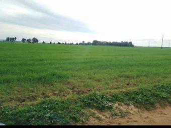 أراضي   90000 م² - Photo 0