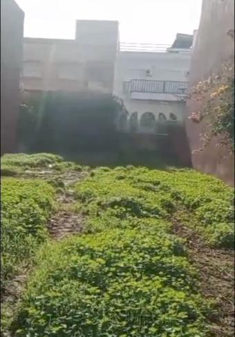 أراضي  2 غرف 250 م² - Photo 0