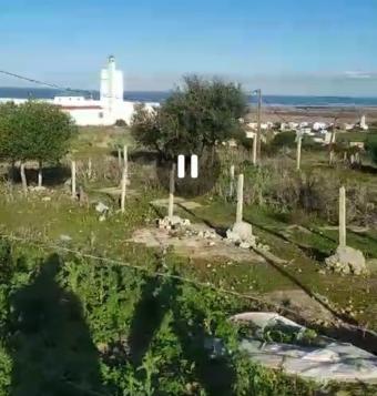 أراضي   250 م² - Photo 0