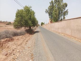 Land   3940 m² - Photo 0