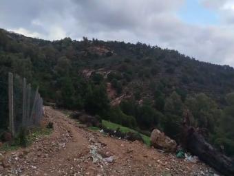 Land  1 pieces 1535 m² - Photo 0