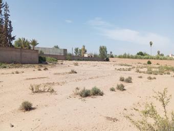 Land   7681 m² - Photo 0