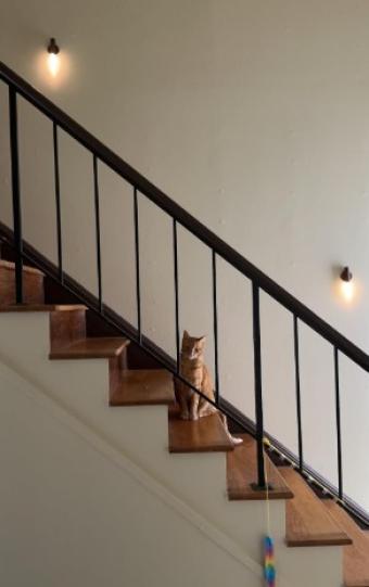 House   70 m² - Photo 0