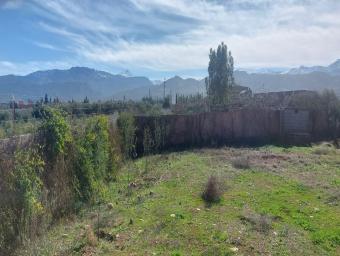 Terrain   1000 m² - Photo 0