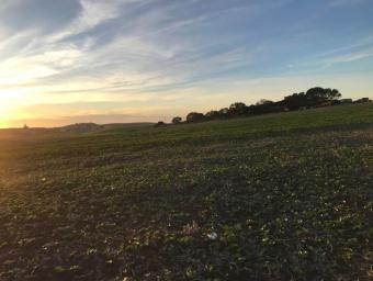 Land   555 m² - Photo 0