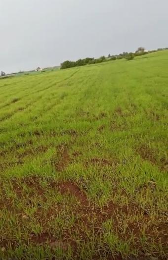 Terrain   12000 m² - Photo 0