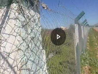 أراضي   10000 م² - Photo 0