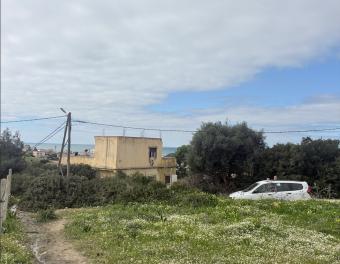 Land   1000 m² - Photo 0