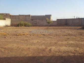 Land   800 m² - Photo 0