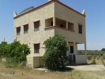 Land  7 pieces 400 m² - Photo 0