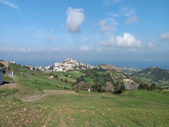 Land   1000 m² - Photo 0