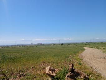 Land   13000 m² - Photo 0