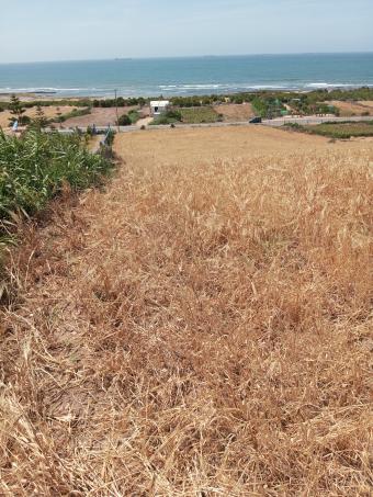 Terrain   0 m² - Photo 0
