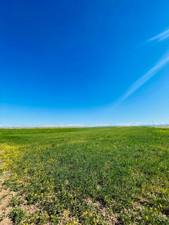 Terrain   720000 m² - Photo 0