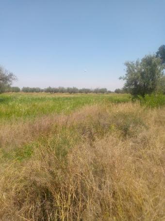 Terrain   25000 m² - Photo 0