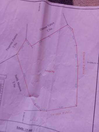 Land   150000 m² - Photo 0