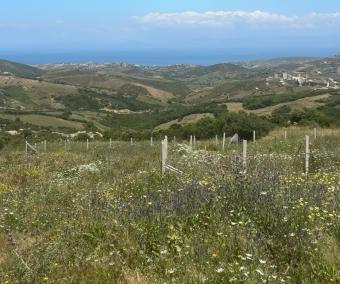 Terrain   660 m² - Photo 0