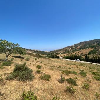 Terrain   17550 m² - Photo 0