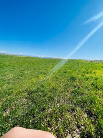 Terrain   72000 m² - Photo 0