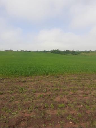 Terrain   200000 m² - Photo 0