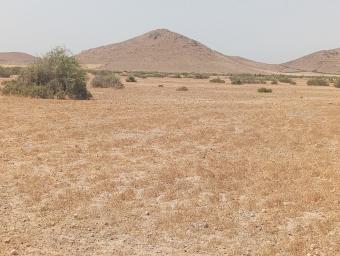 Land   50000 m² - Photo 0