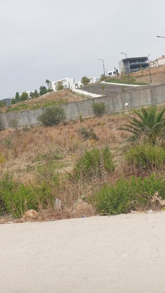 Terrain   2500 m² - Photo 0