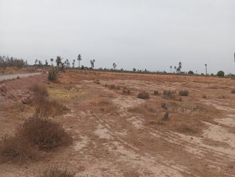 أراضي   46480 م² - Photo 0