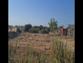 Land   1500 m² - Photo 0