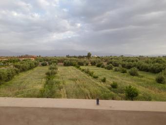 Terrain à vendre à Marrakech - 6000 m² - Photo 0