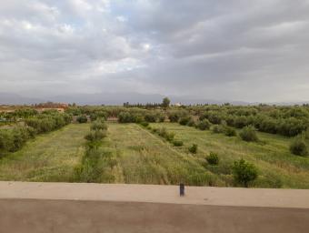 Land   6000 m² - Photo 0