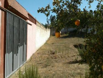 Land  2 pieces 150 m² - Photo 0