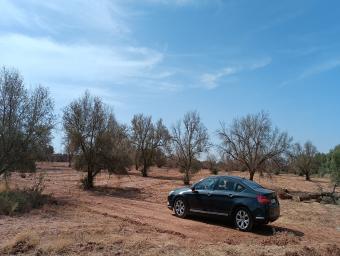 Land   2800 m² - Photo 0