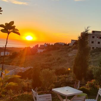 Land   300 m² - Photo 0