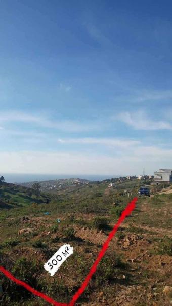 Land   300 m² - Photo 0