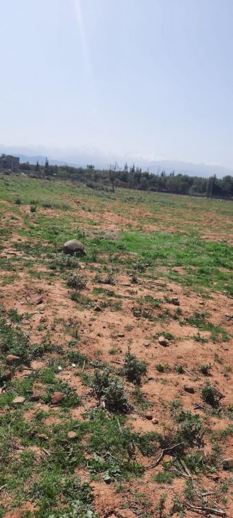 Land   0 m² - Photo 0