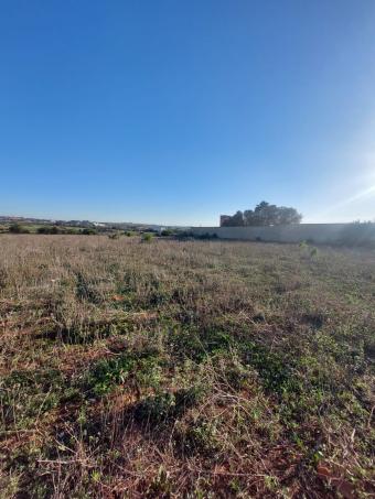 أراضي   4800 م² - Photo 0