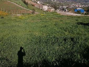 Land   10000 m² - Photo 0