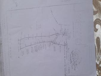 Land  3 pieces 11443 m² - Photo 0