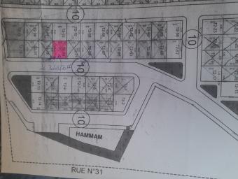 Land   80 m² - Photo 0