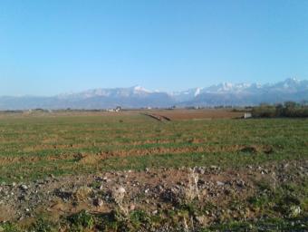 Land   0 m² - Photo 0