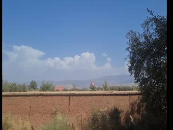 Land   879 m² - Photo 0