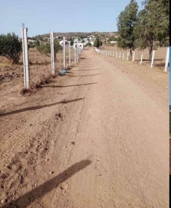 Land   1000 m² - Photo 0