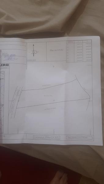 Land   14220 m² - Photo 0